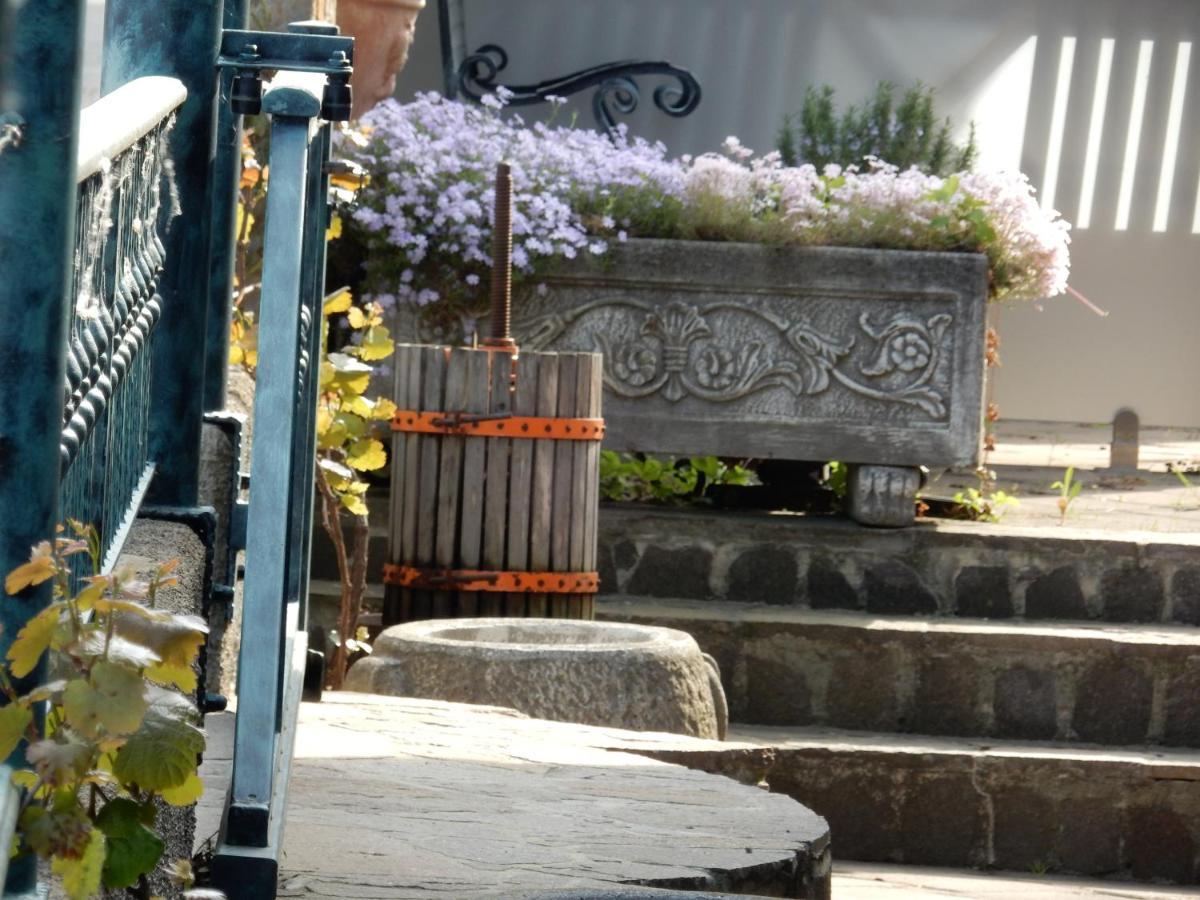 Garni Terano Hotel Maribor
